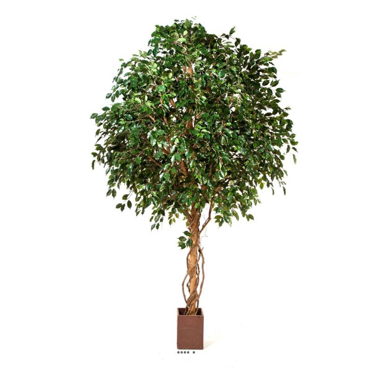 Ficus exotique géant artificiel H 315 cm vert, ARTIFICIELLES