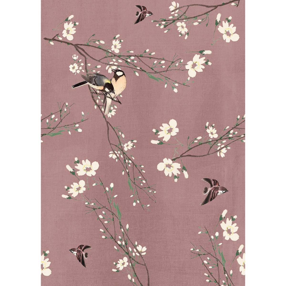 Papier peint panoramique Fleurs et oiseaux rose, blanc cassé, SUPERFRESCO EASY