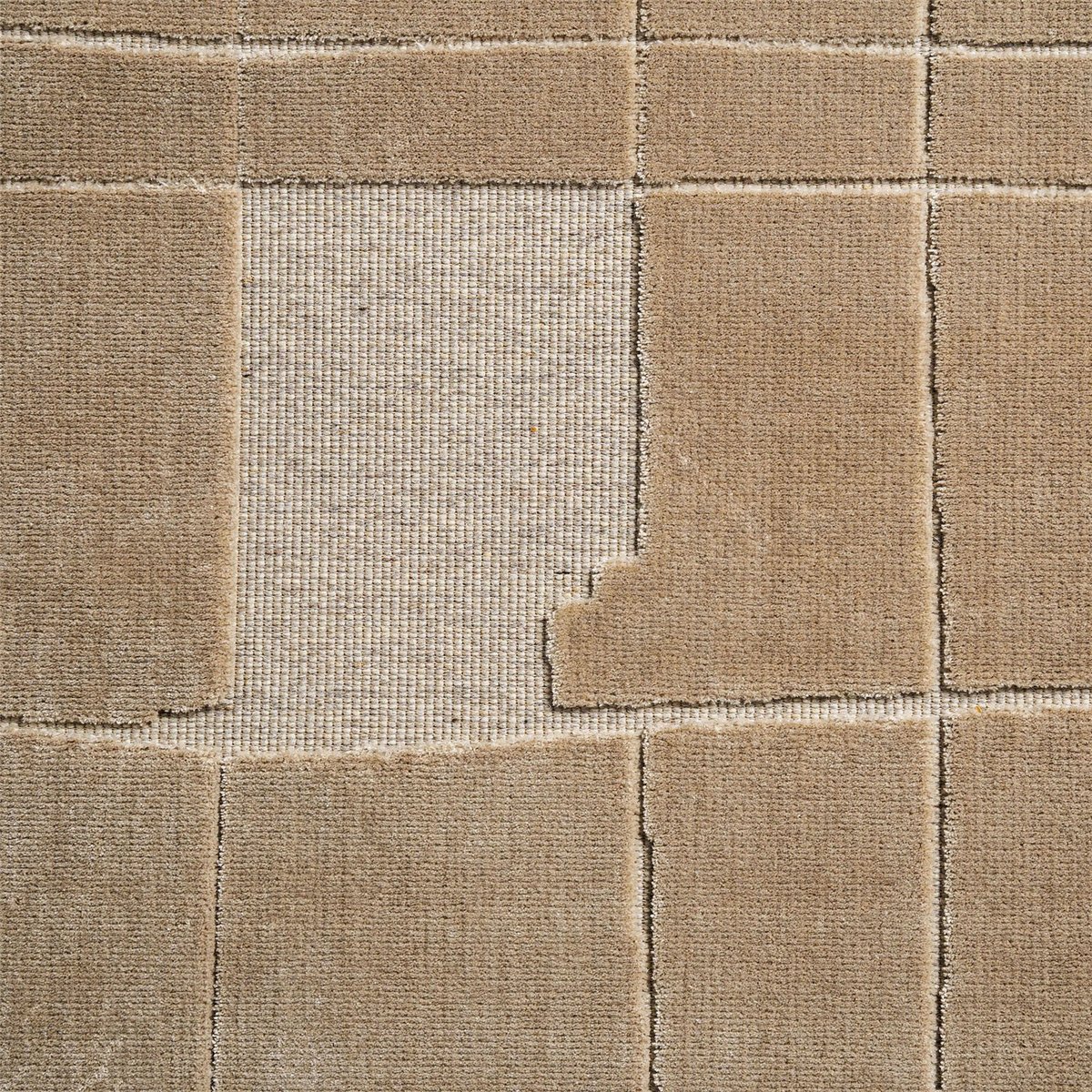 Tapis classique fait main, Style raffiné beige naturel doux et élégant, RECOLLECTION