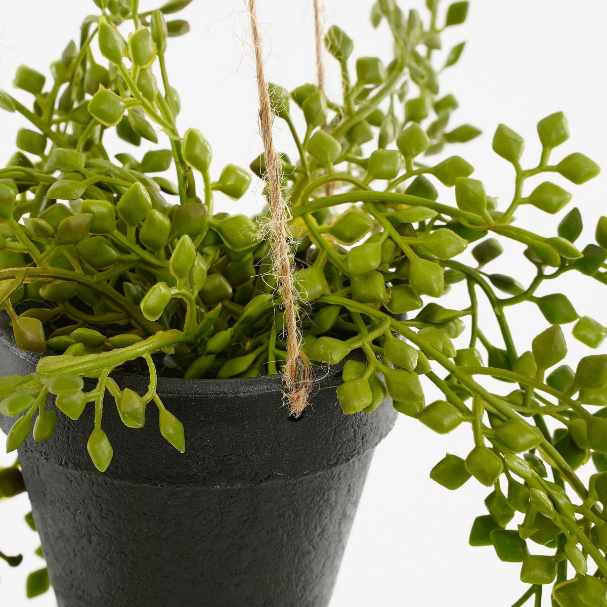 Plante artificielle SENECIO vert, MICA DECORATIONS