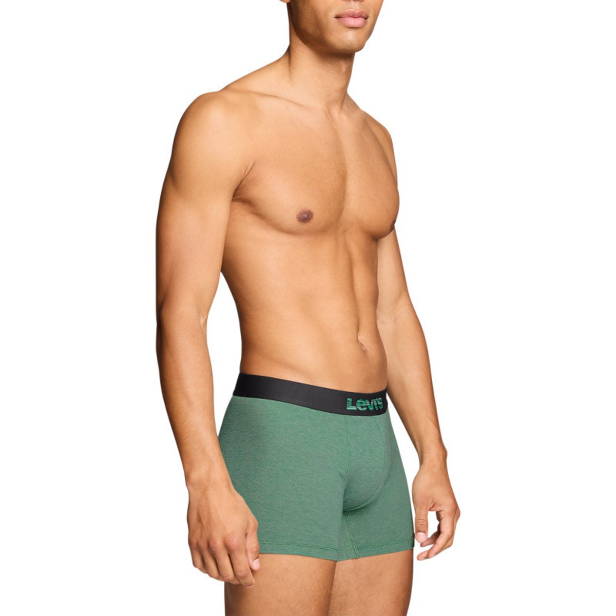 Lot de 2 boxers en coton multicolores pourvus de ceintures élastiquées multicolore, LEVI'S