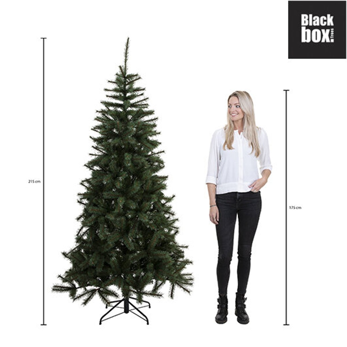 Sapin de Noël H215 cm CHARLTON vert, BLACK BOX TREES