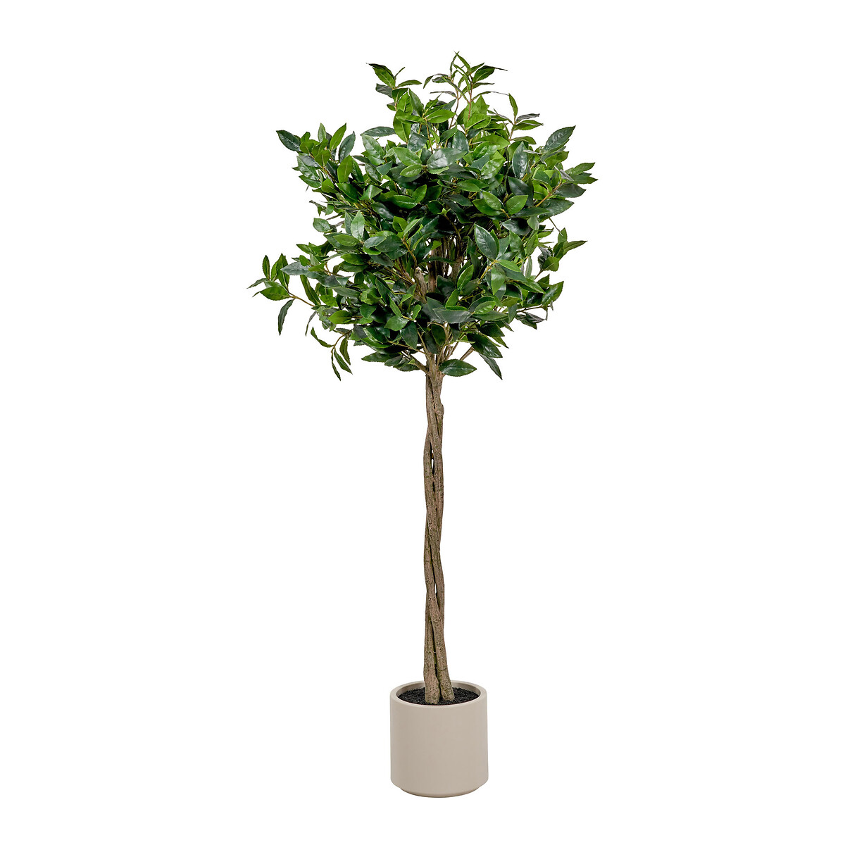 150cm Bay Tree in Pot green, ÉDITÉ