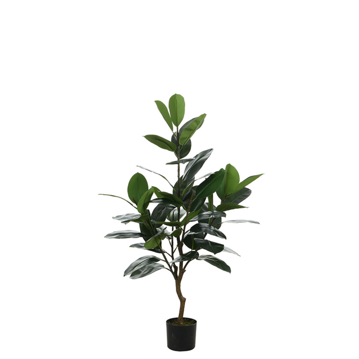 Ficus en pot artificiel H130 vert, SIA DECO