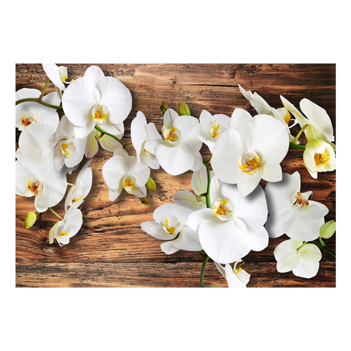 Papier peint intissé panoramique Fleurs Forest Orchid vert, EDEN