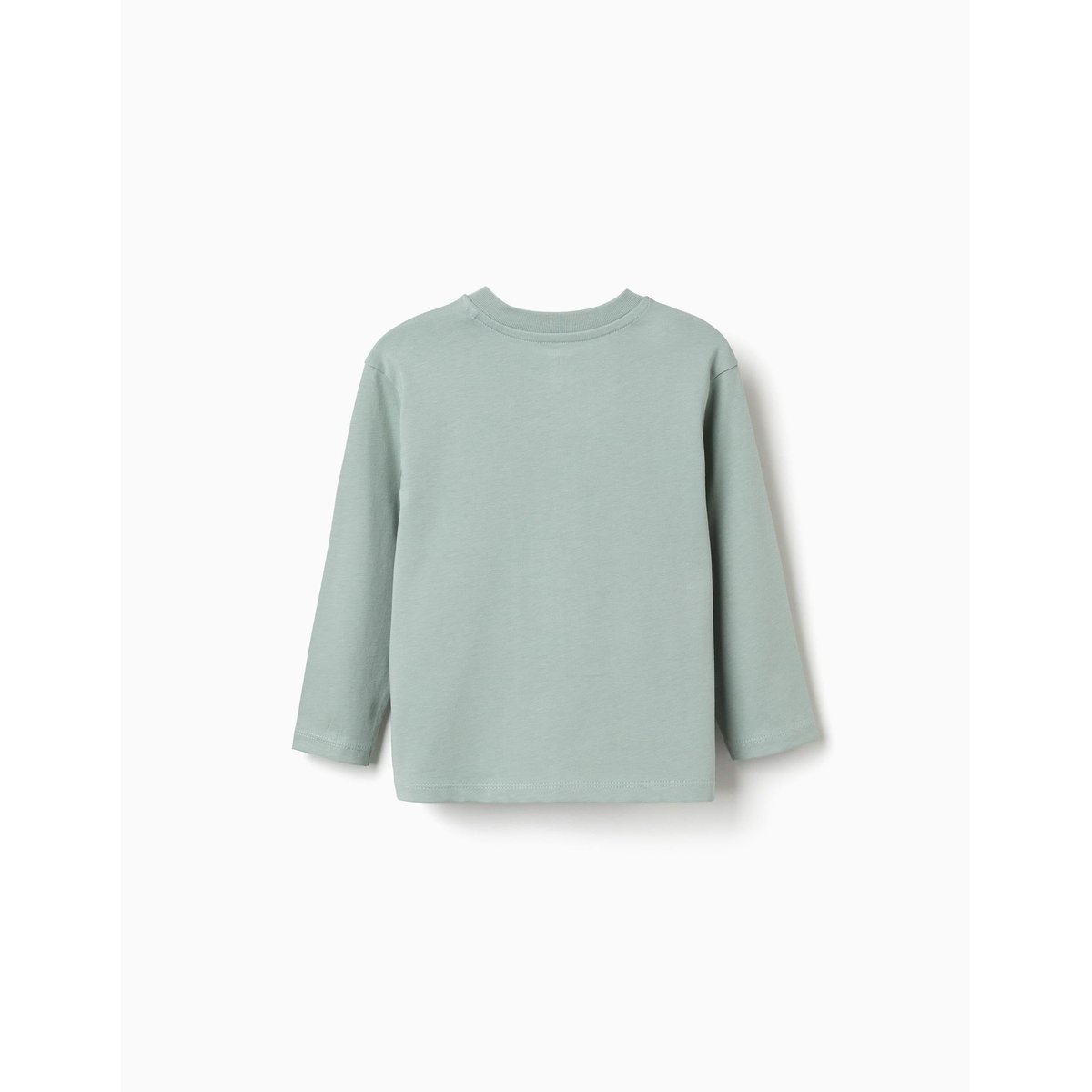 T-shirt en coton à manches longues et imprimé Bluey vert, ZIPPY