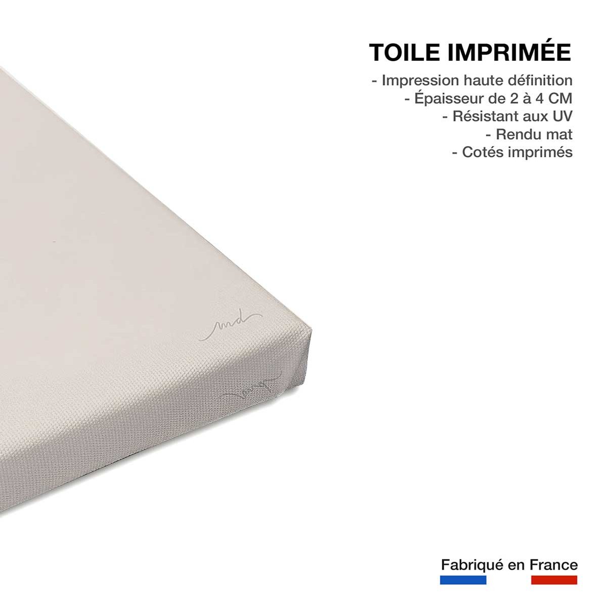 Tableau enfant balein oh toile imprimée, HEXOA