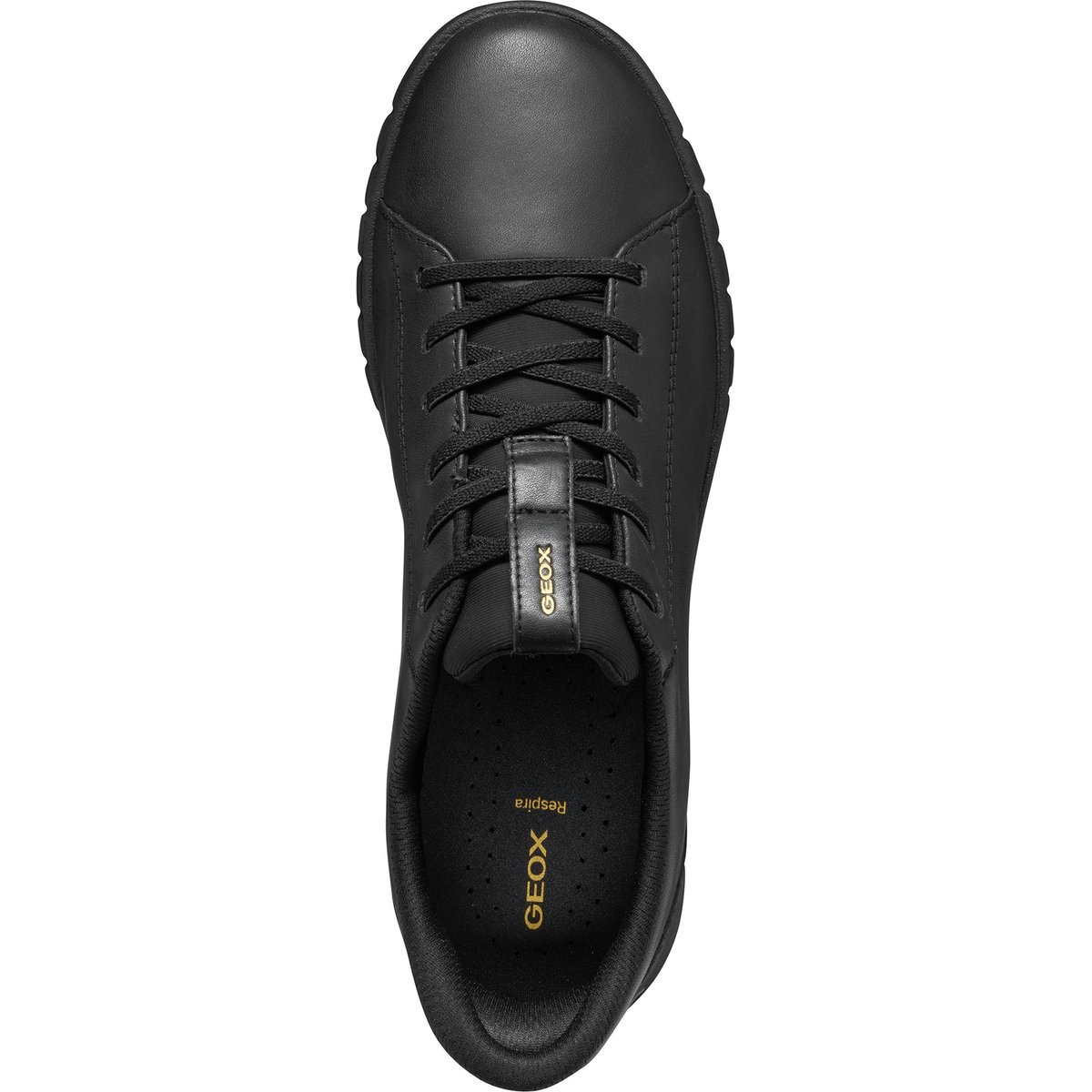 Baskets  D FLEXTRIDE PLUS noir, GEOX