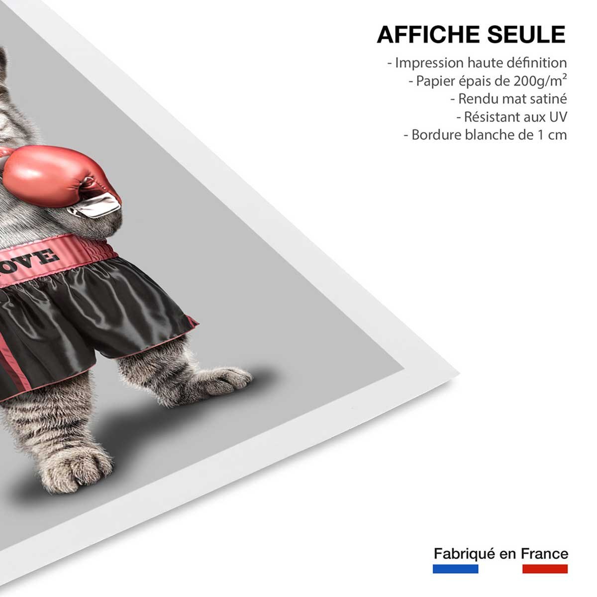 Affiche enfant chat boxeur affiche seule, HEXOA