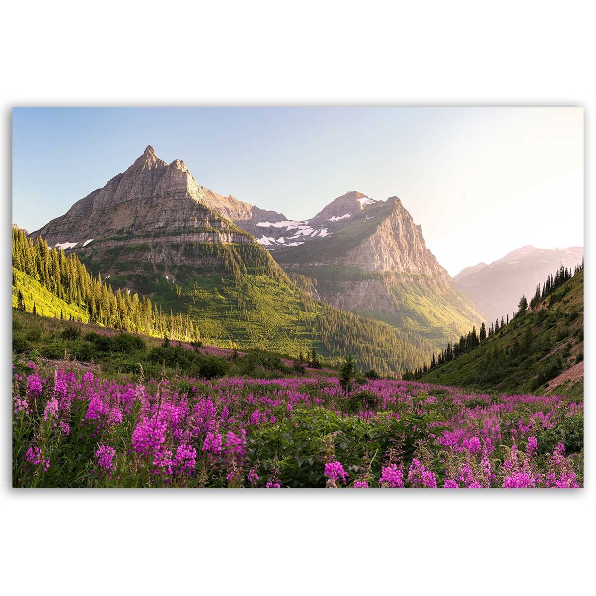 Tableau paysage de montagne fleuri et sommets majestueux toile imprimée, HEXOA