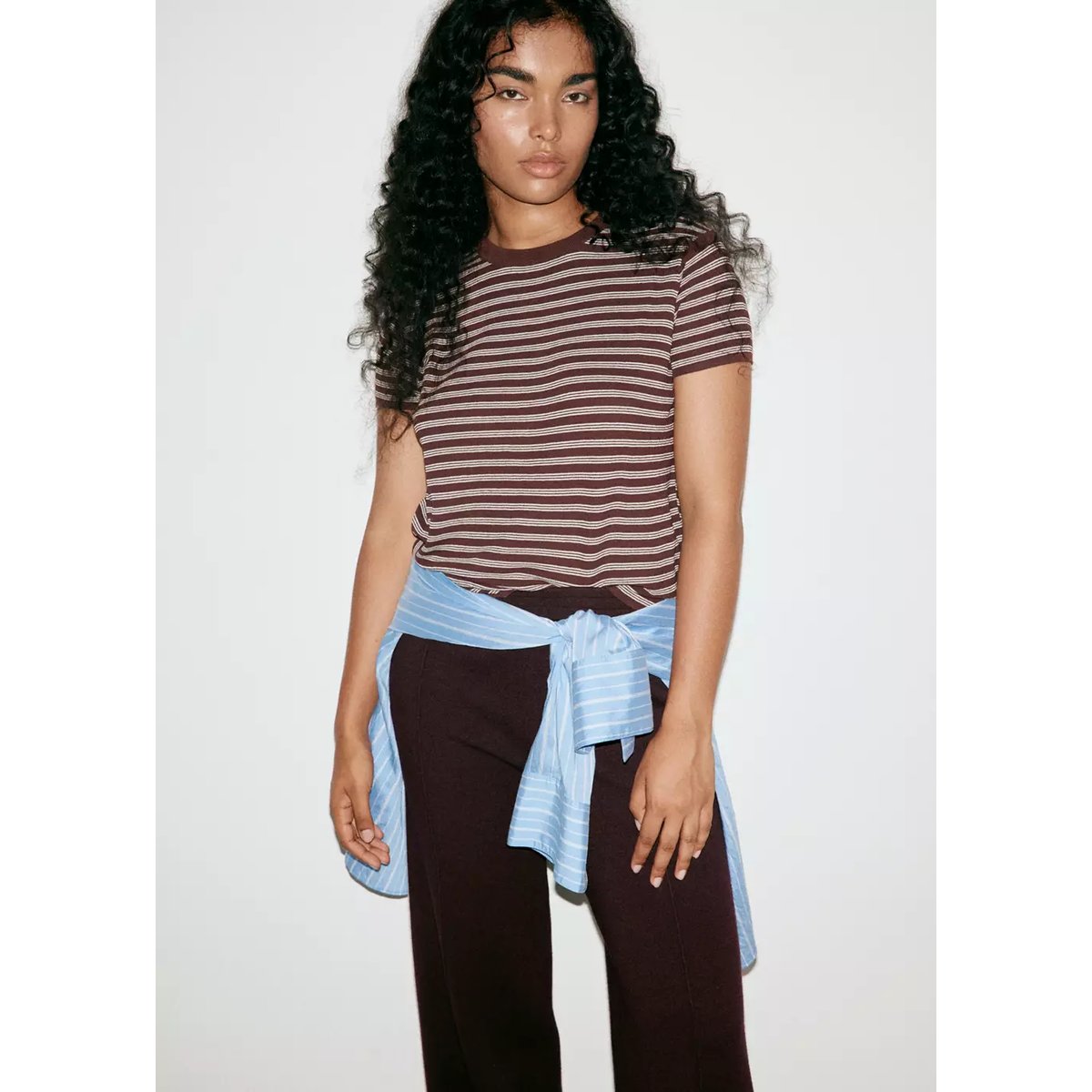 Pull-over maille côtelée manches courtes chocolat, MANGO