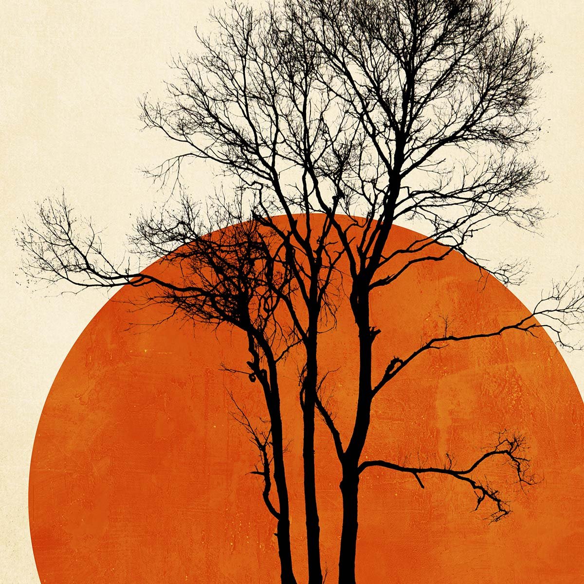 Papier peint soleil levant intissé, HEXOA
