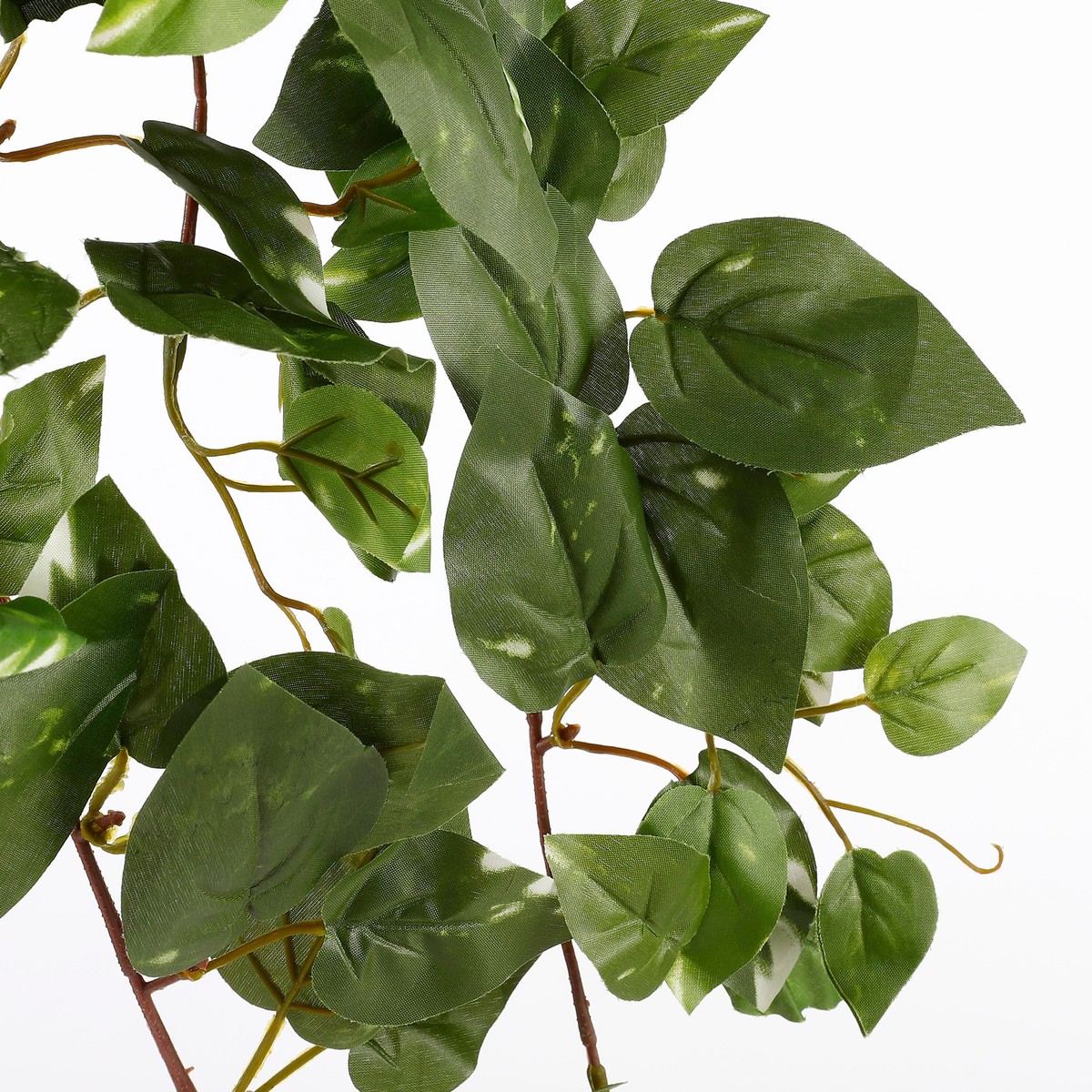 Plante artificielle SCINDAPSUS HANGING vert, MICA DECORATIONS