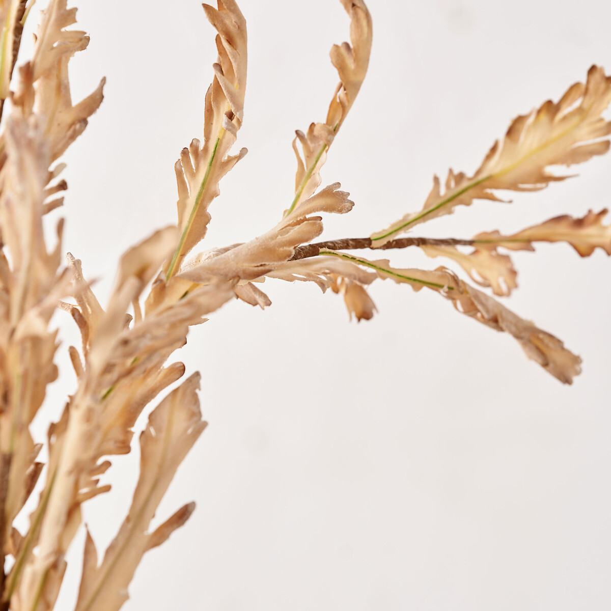 Set of 6 109cm Natural Apricot Autumn Leaf Stems natural, ÉDITÉ