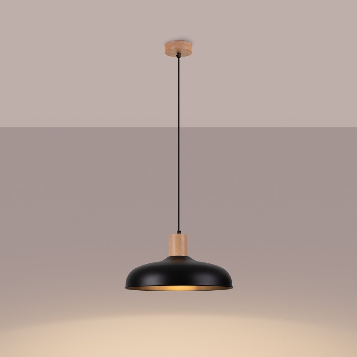 Suspension Acier Noir E27 1 Indy noir, EDEN