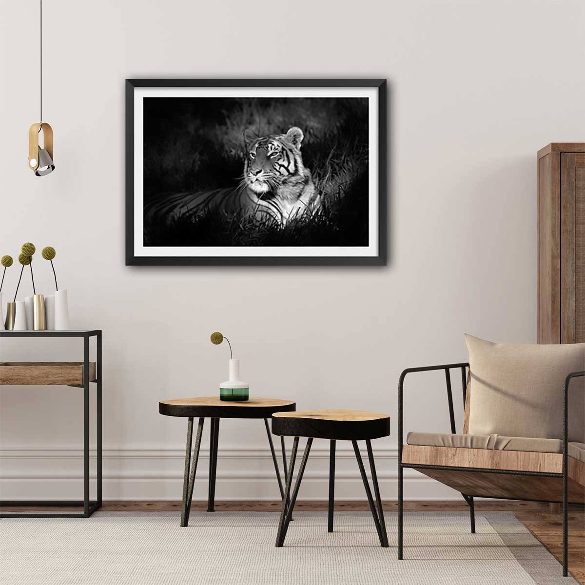 Affiche tigre assoupi dans son rayon de lumière affiche + cadre en bois - noir, HEXOA