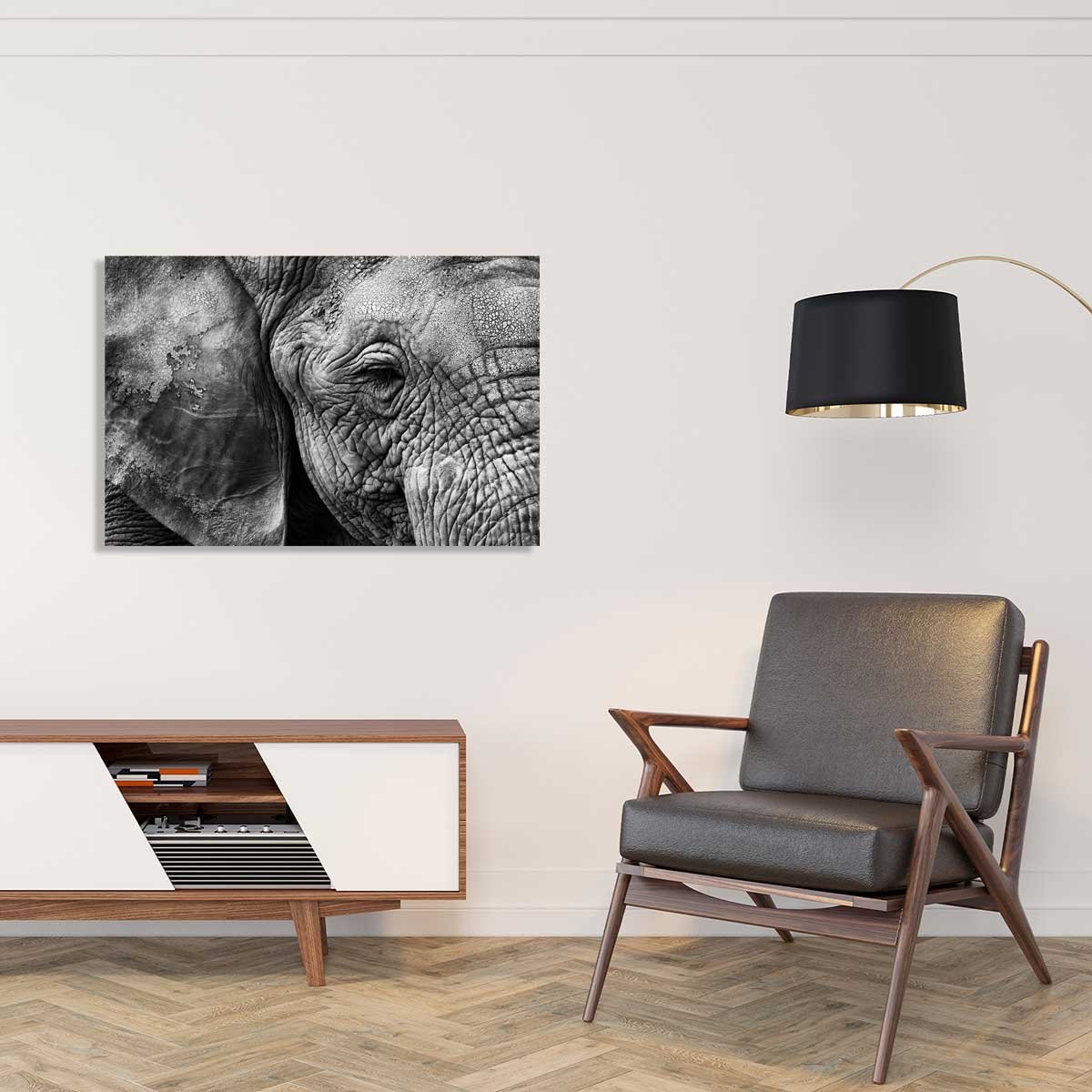 Tableau animaux Peau d'éléphant tableau alu dibond, HEXOA