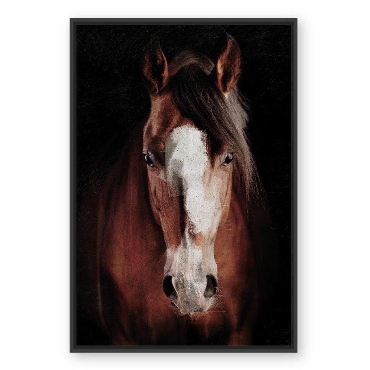 Toile cheval 80x120 cm marron, AMADEUS