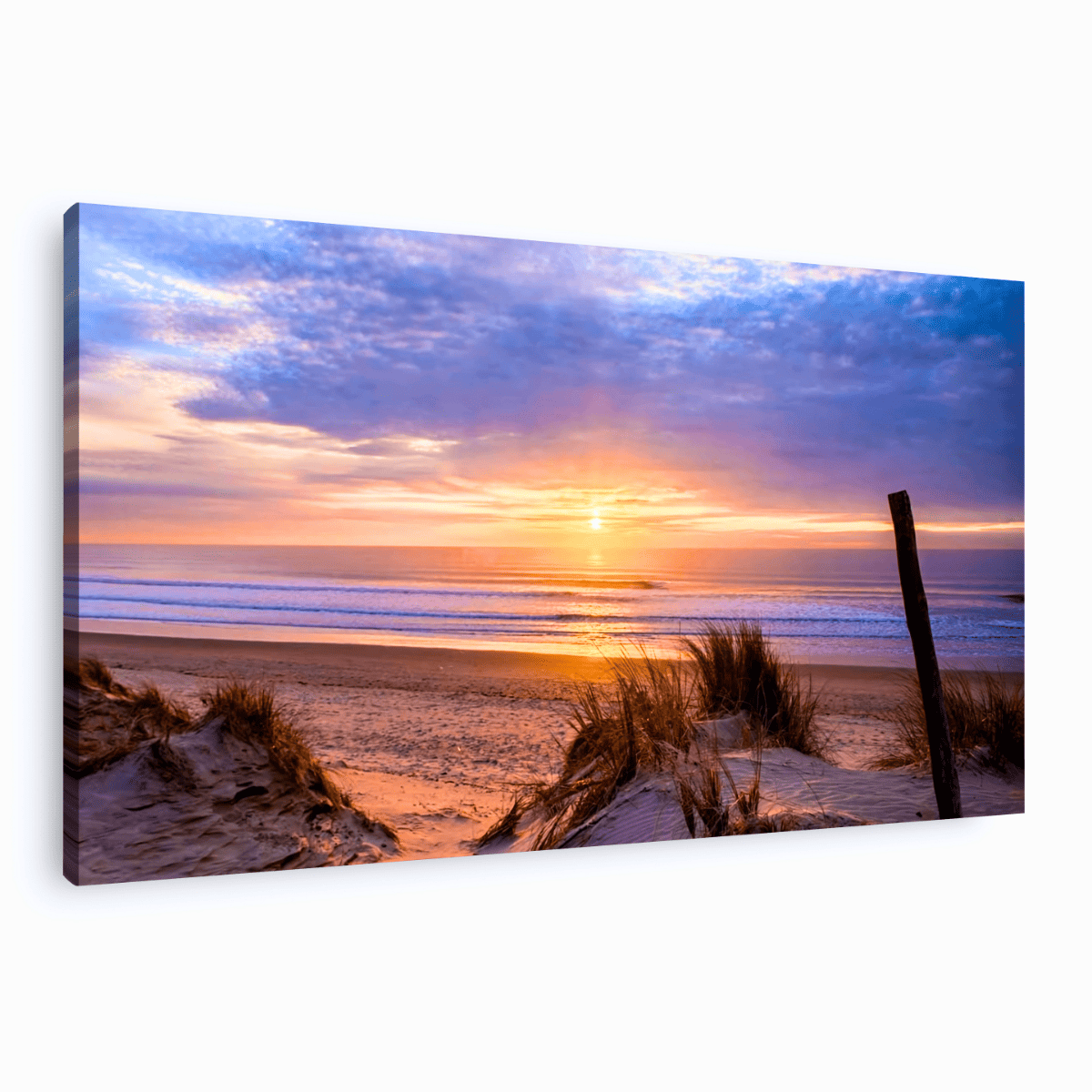 Tableau Mural Plage De Saint Trojan PLAGE tableaux sur toile-violet, CEANOTHE