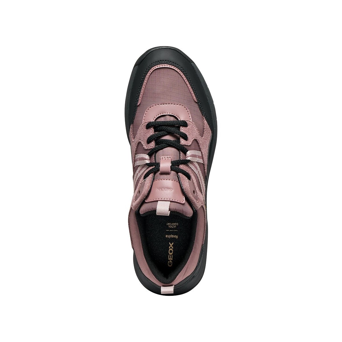 Atmungsaktive Sneaker, BERINIKE AMPHIBIOX rosa, GEOX