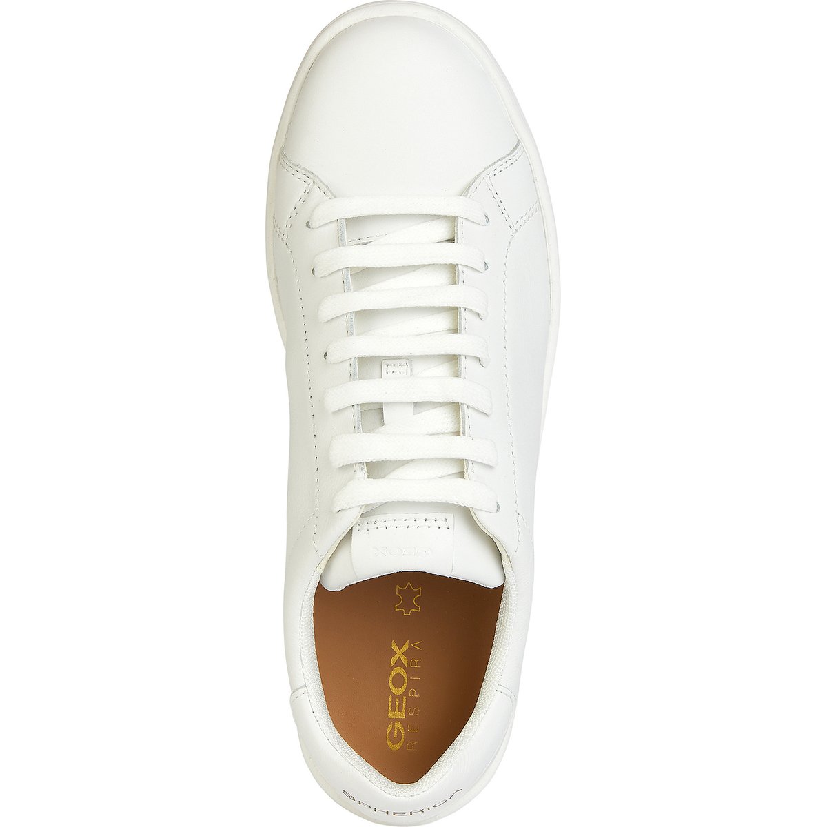 Baskets D SPHERICA ECUB-1 blanc, GEOX