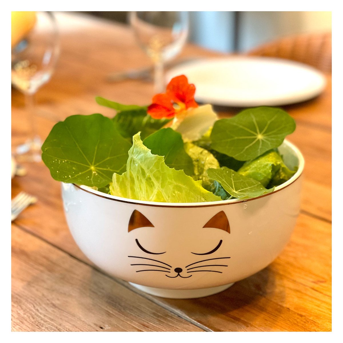 Saladier en porcelaine Matinal Salade white cat, PYLONES