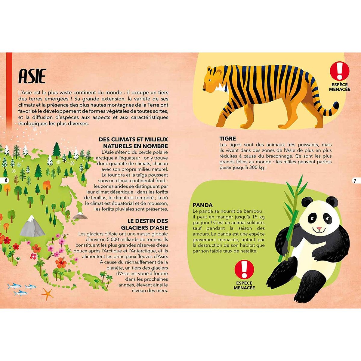 Puzzle & Livre - Voyagez, découvrez, explorez, Les espèces menacées vert, SASSI
