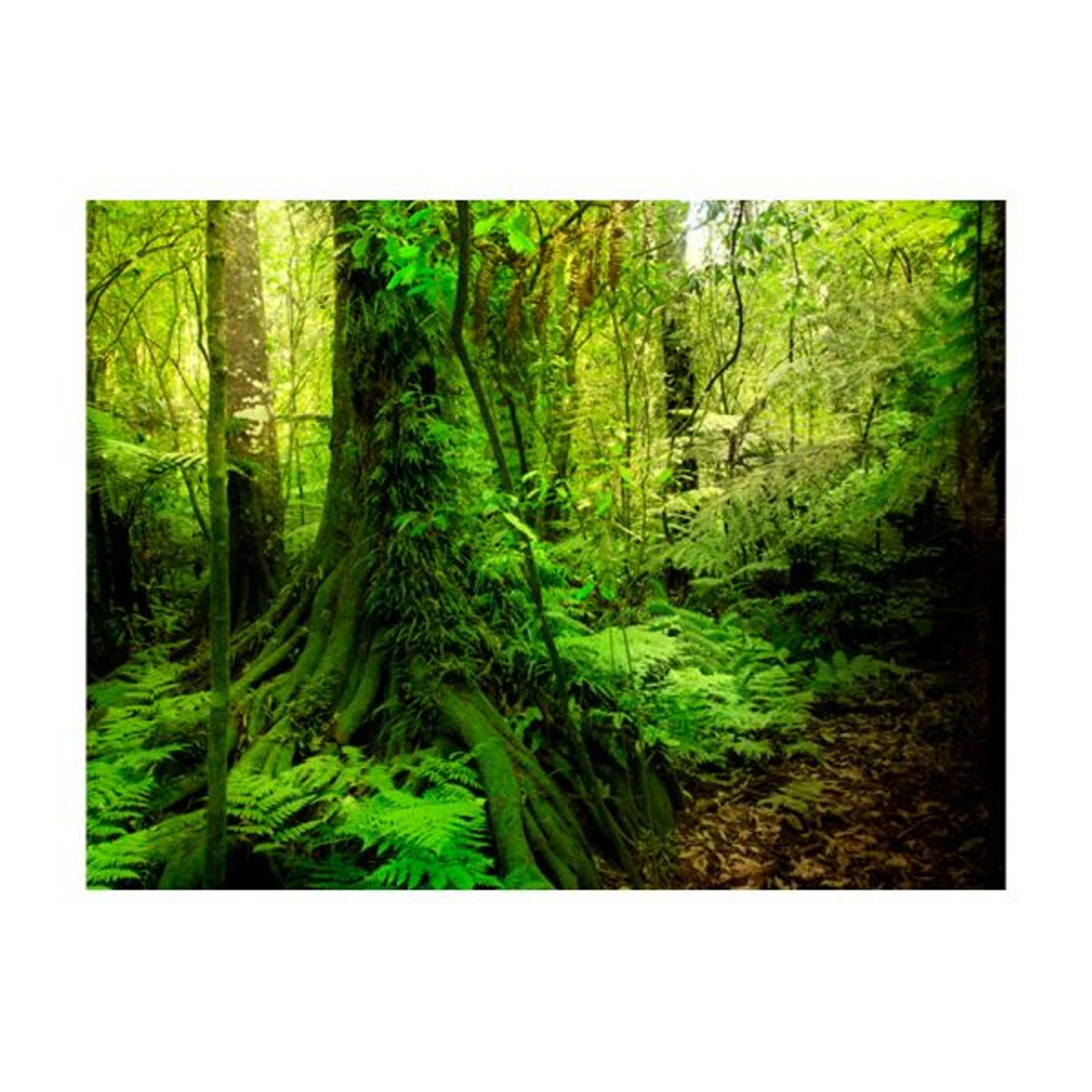 Papier peint intissé panoramique Paysage Jungle vert, EDEN