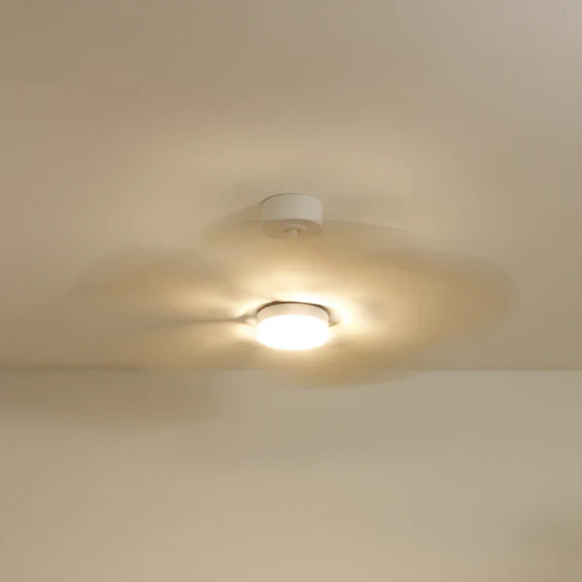 Plafonnier ventilateur en bois de peuplier DAHLIA bois clair, ATELIER LOUPIOTE