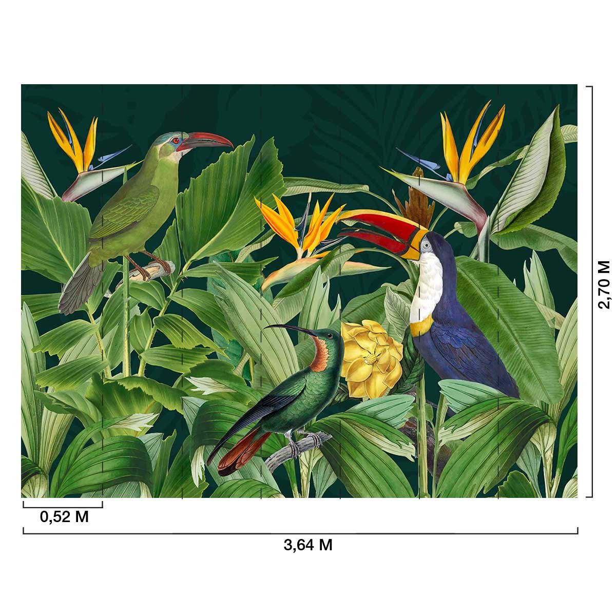 Papier peint oiseaux des tropiques intissé, HEXOA