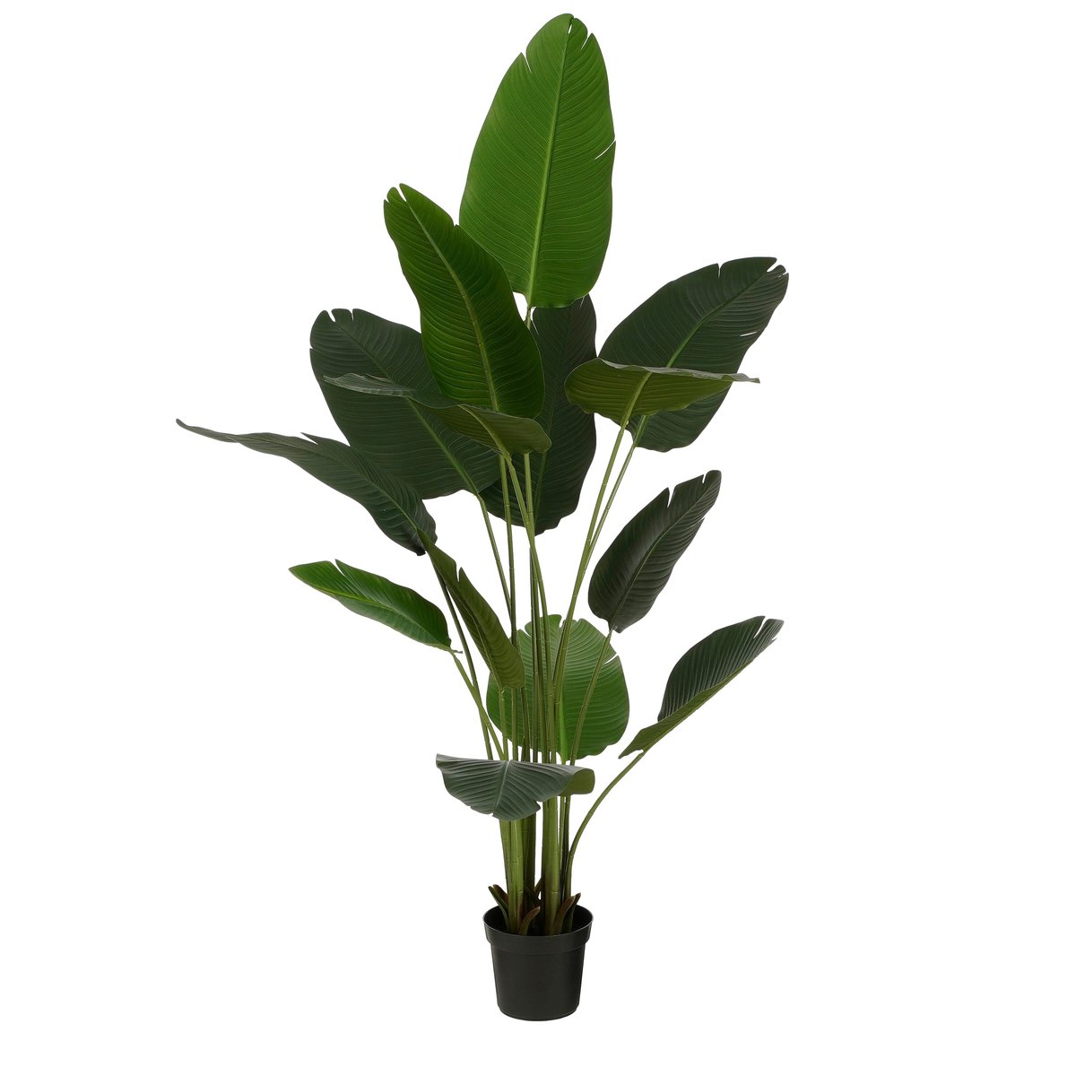 Plante artificielle BANANA TREE vert, MICA DECORATIONS