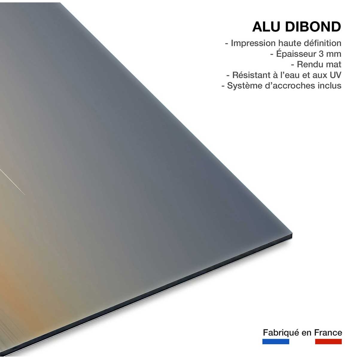 Tableau animaux flamands bleus tableau alu dibond, HEXOA