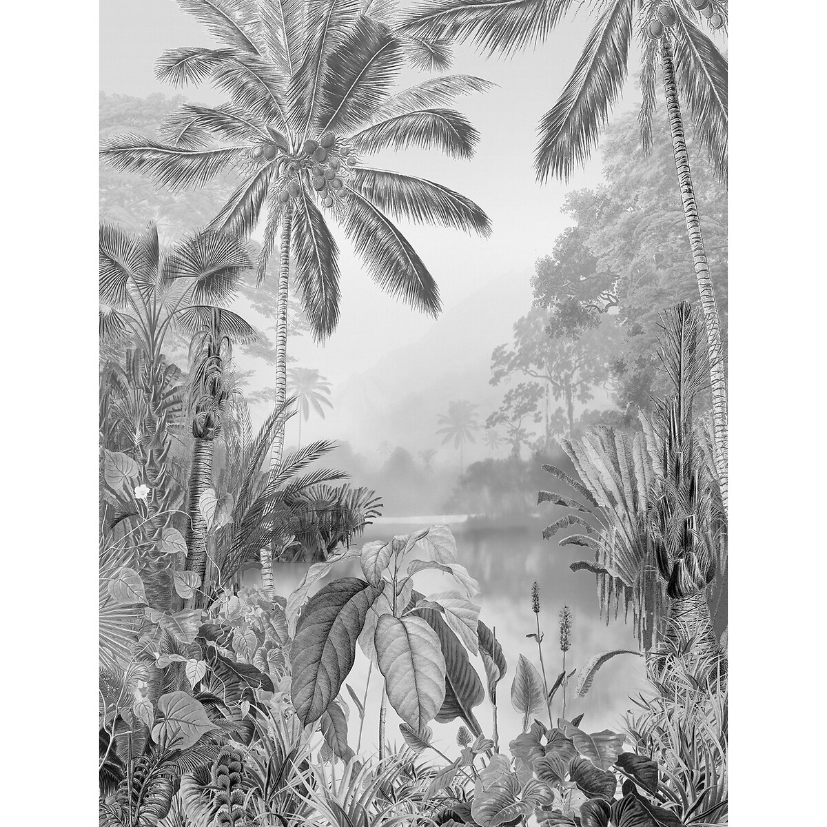 Papel de parede foto mural Lac Tropical Black & White, da Interelife multicolor, INTERELIFE