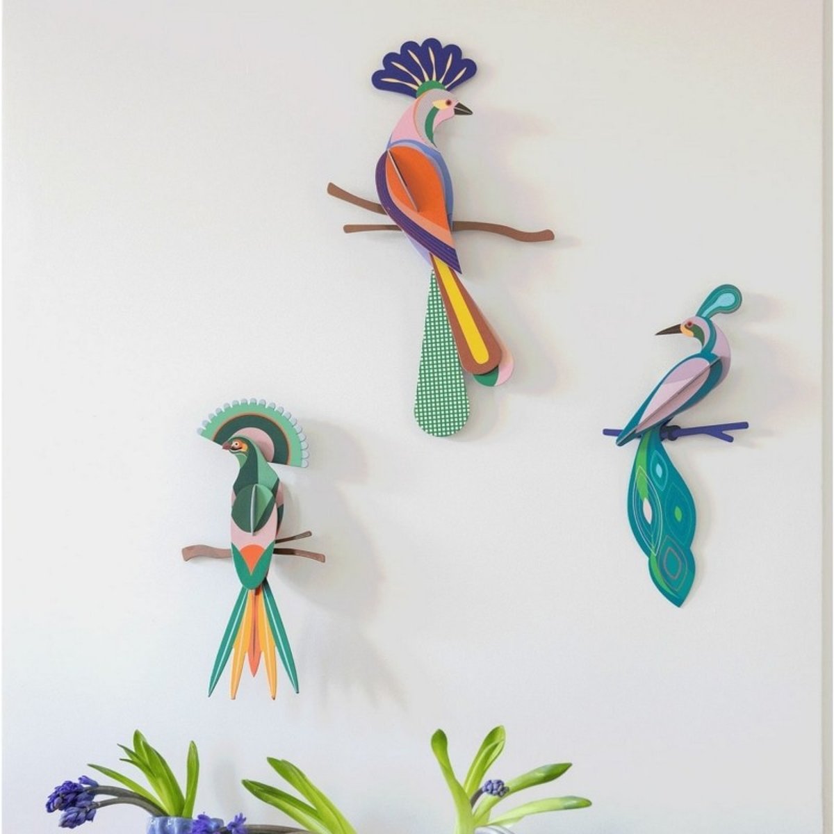 Oiseau décoration murale  Paradise Bird Fiji vert, STUDIO ROOF
