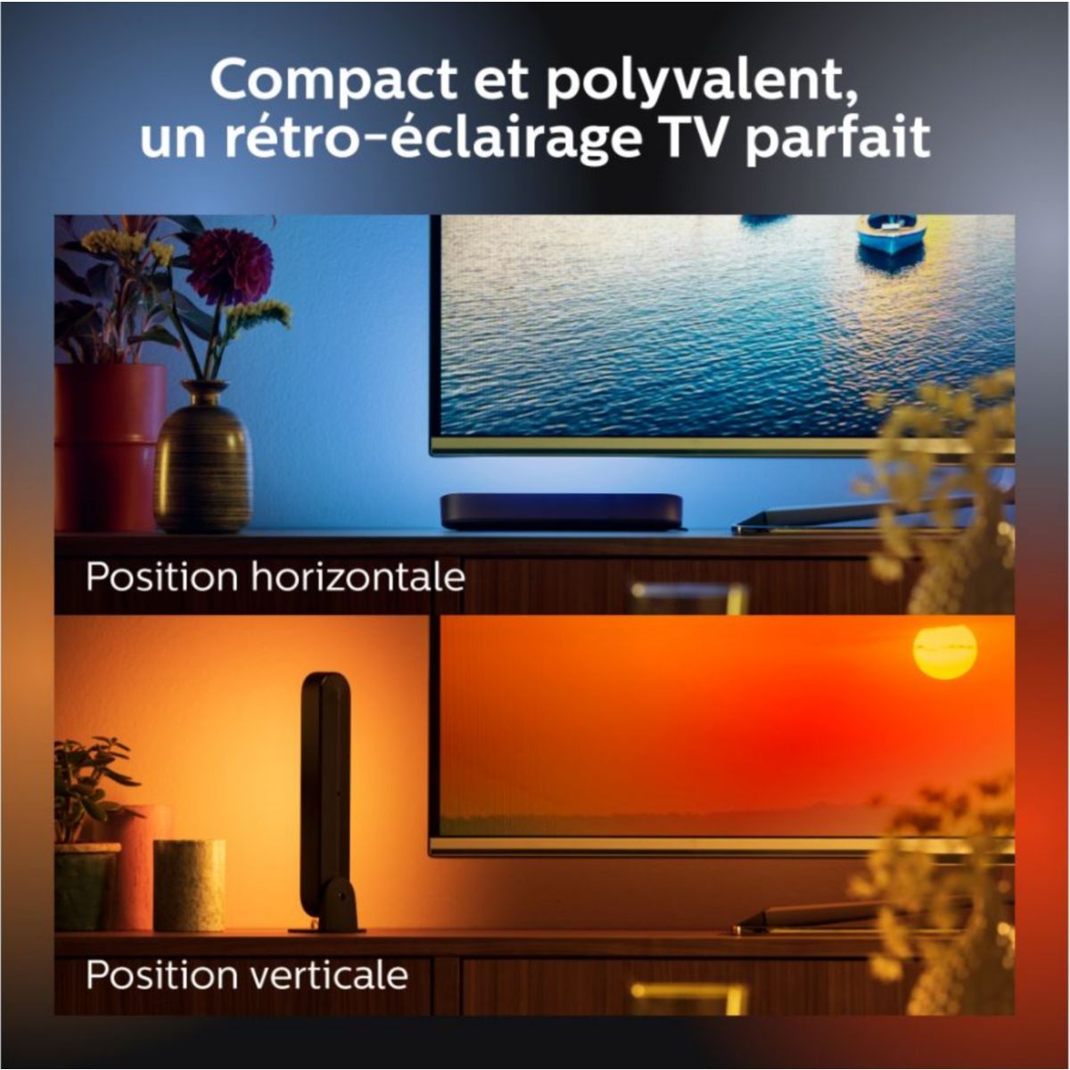 Lampe connectée Play White&Color Ambiance couleur unique, PHILIPS HUE