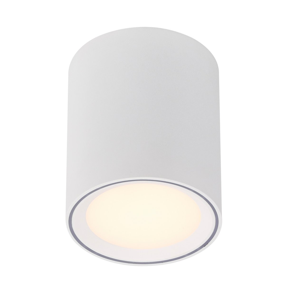 Spot LED pour plafond - gradation Moodmaker™ cylindrique en métal, FALLON blanc, NORDLUX