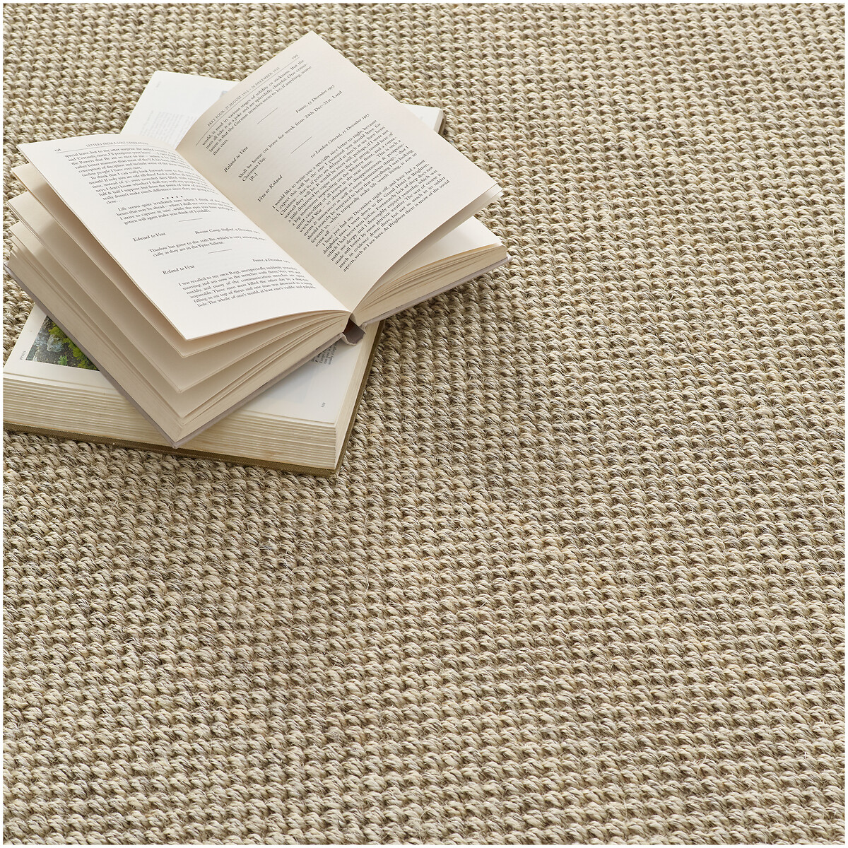 Herringbone Border Sisal Rug beige, SO'HOME