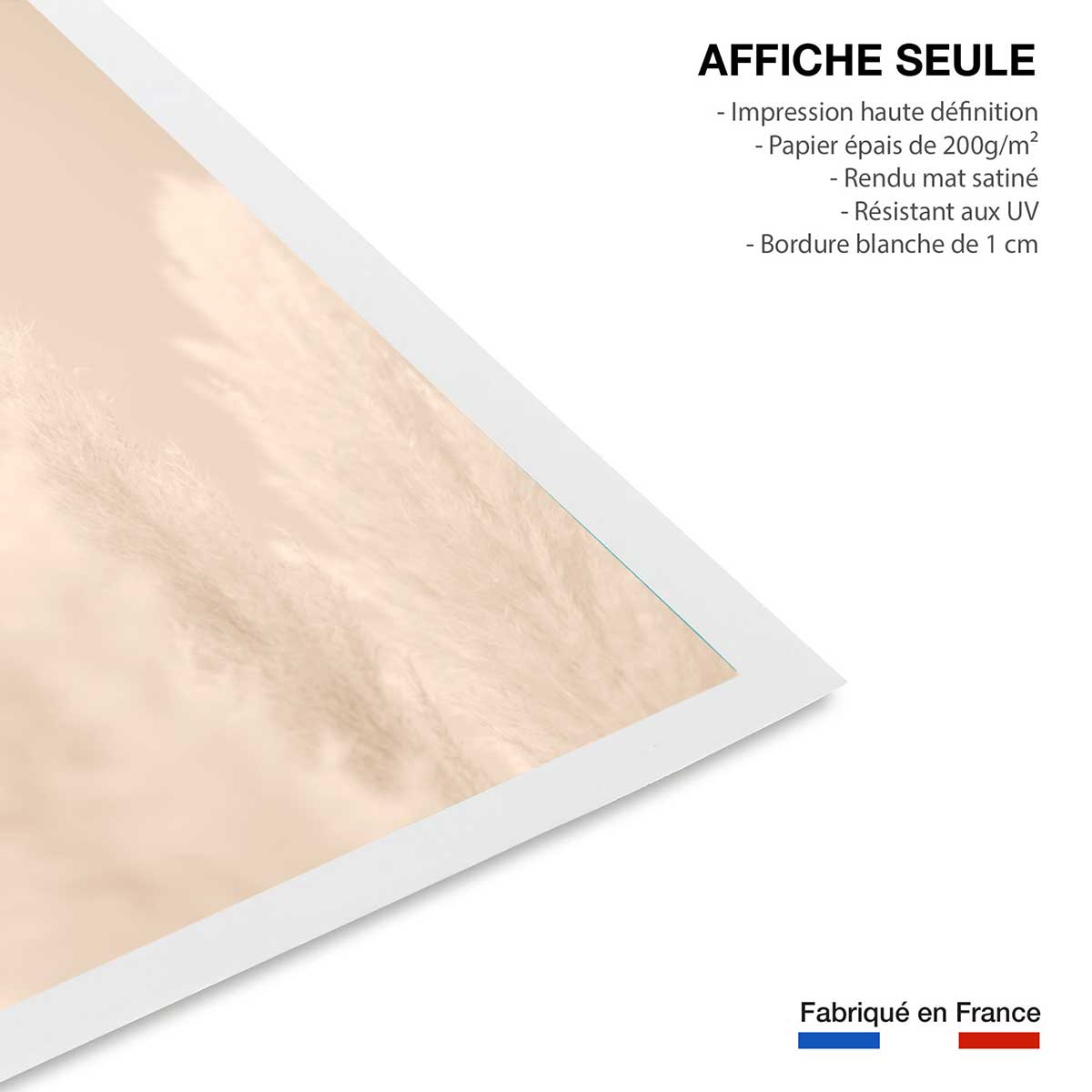 Affiche scandi de roseaux affiche seule, HEXOA