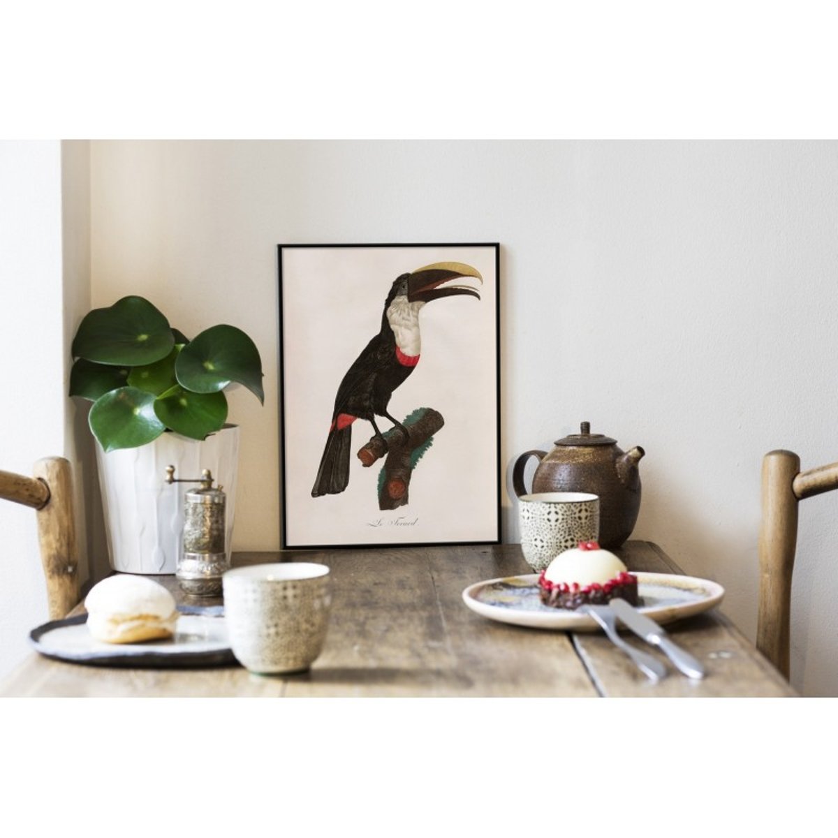 Affiche ancienne oiseau dessin  Le Toucan Tocard noir, THE DYBDAHL CO