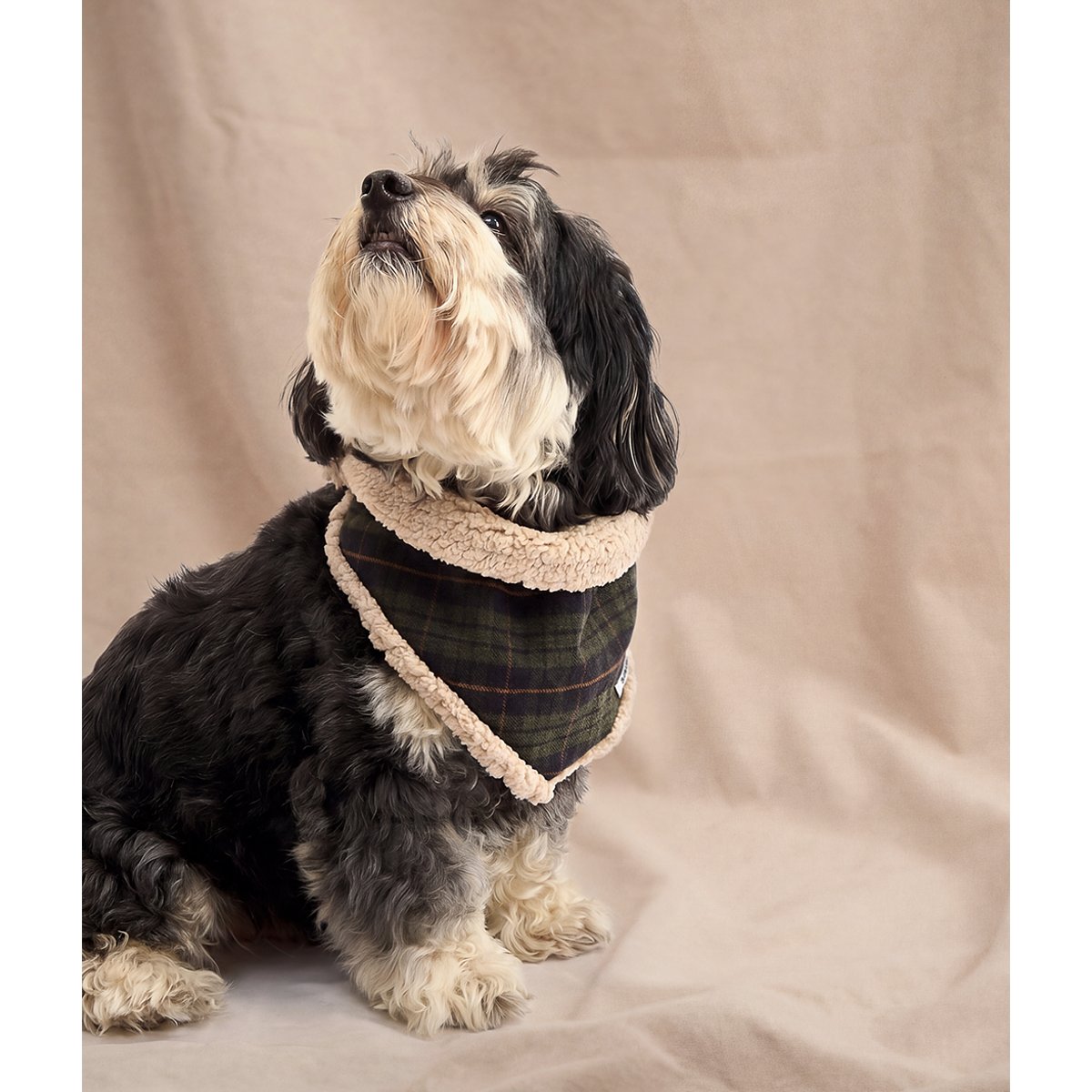 Bandana tartan vert pour chien, Nata vert, CAFIDE