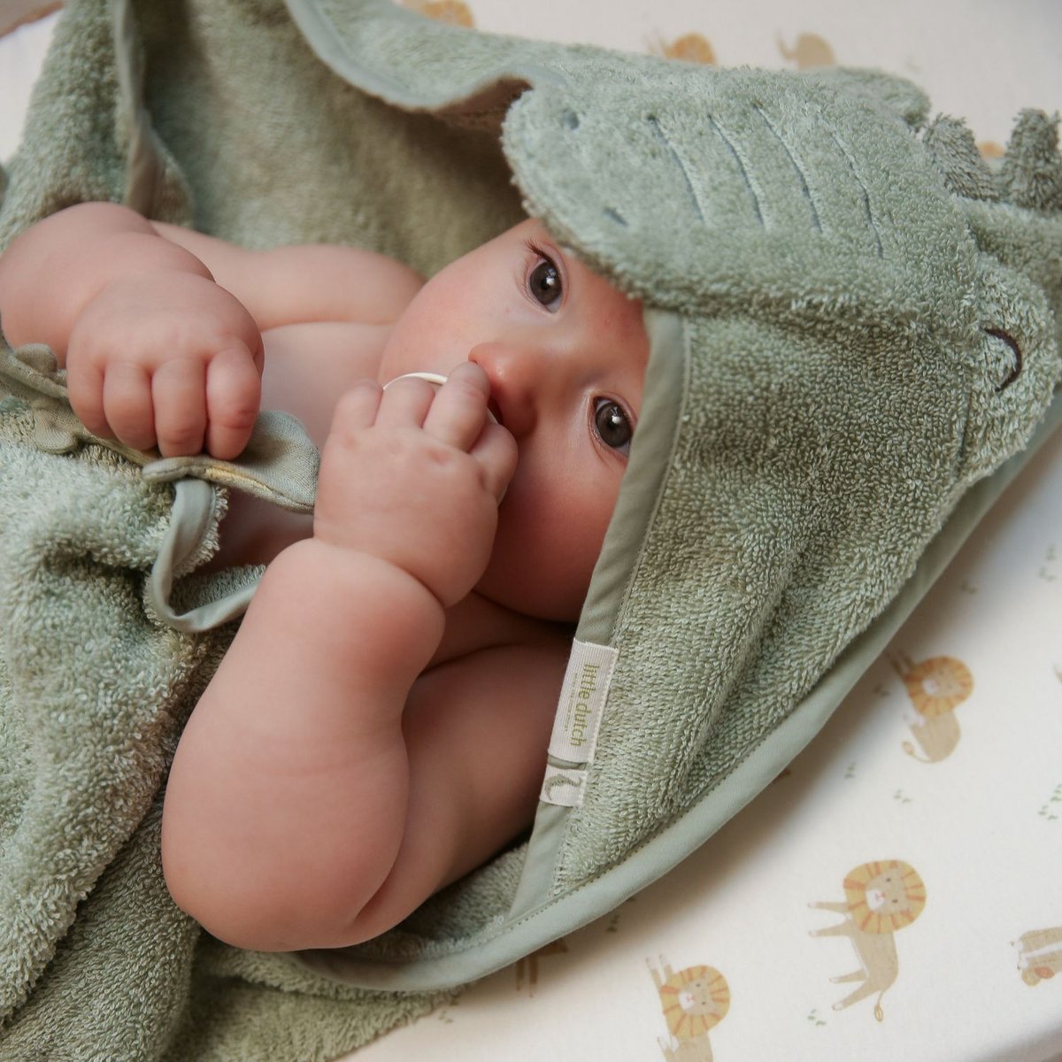 Cape de bain vert, LITTLE DUTCH