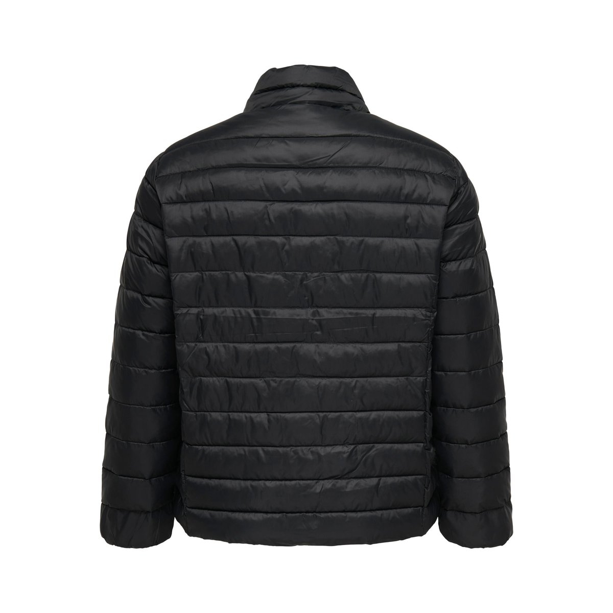 Doudoune black 1, ONLY CARMAKOMA