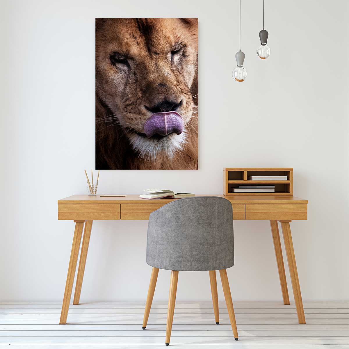 Tableau animaux delice de lion tableau alu dibond, HEXOA