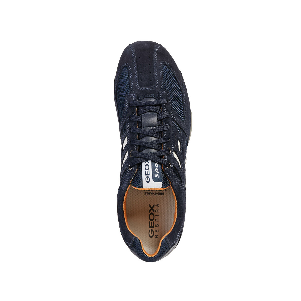Baskets Snake bleu marine, GEOX