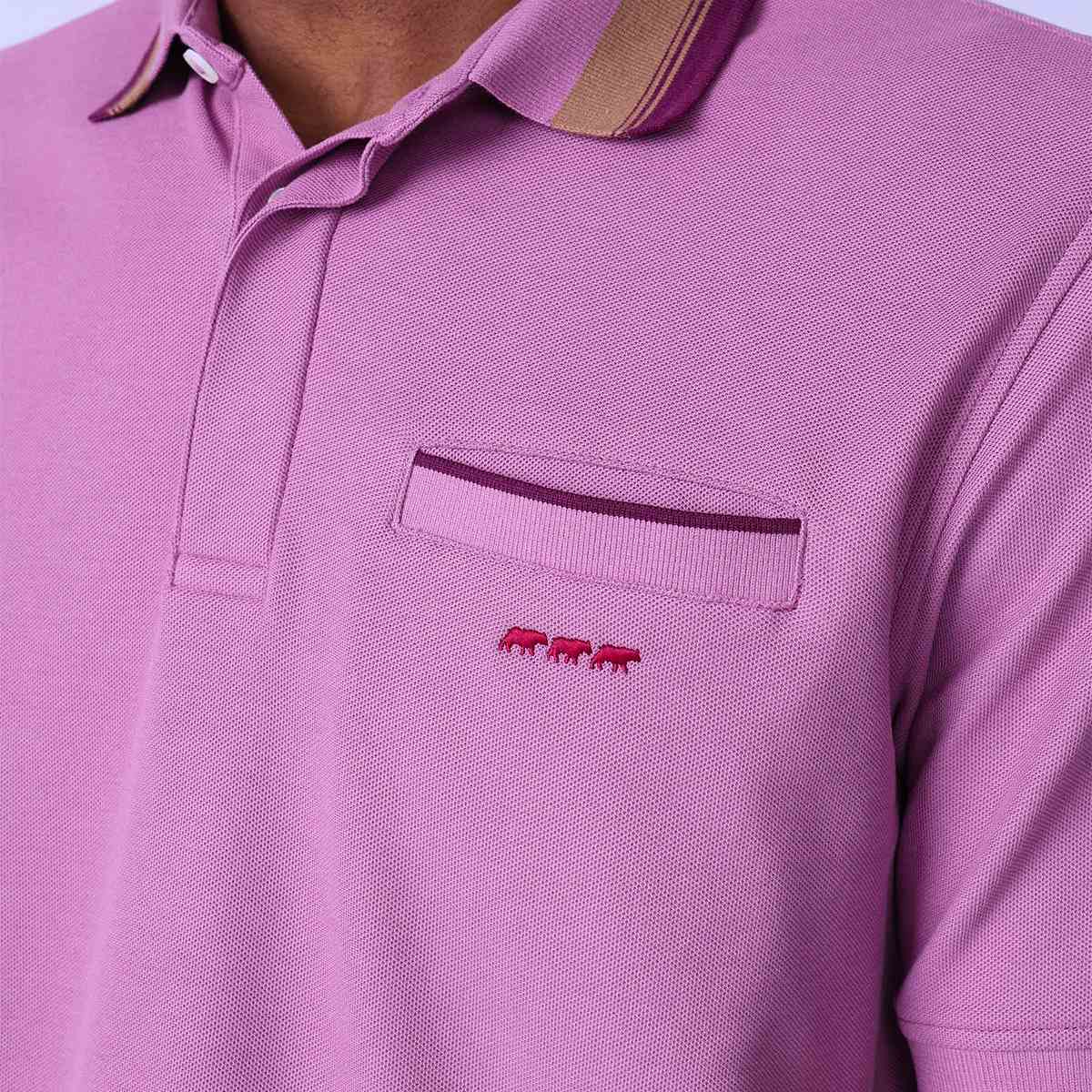 Polo Hervin mauve, MISE AU GREEN