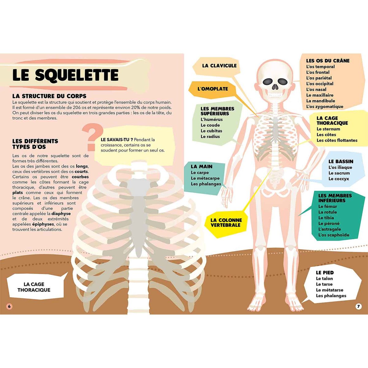 Puzzle & Livre - Voyagez, découvrez, explorez, Le corps humain bleu, SASSI