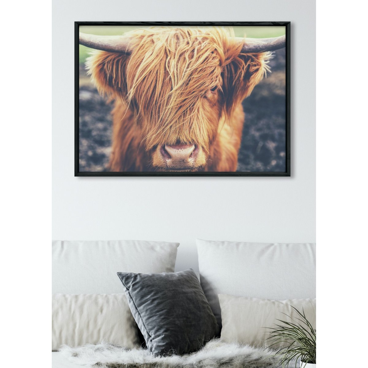Poster Highland Cow blanc, L'AFFICHERIE