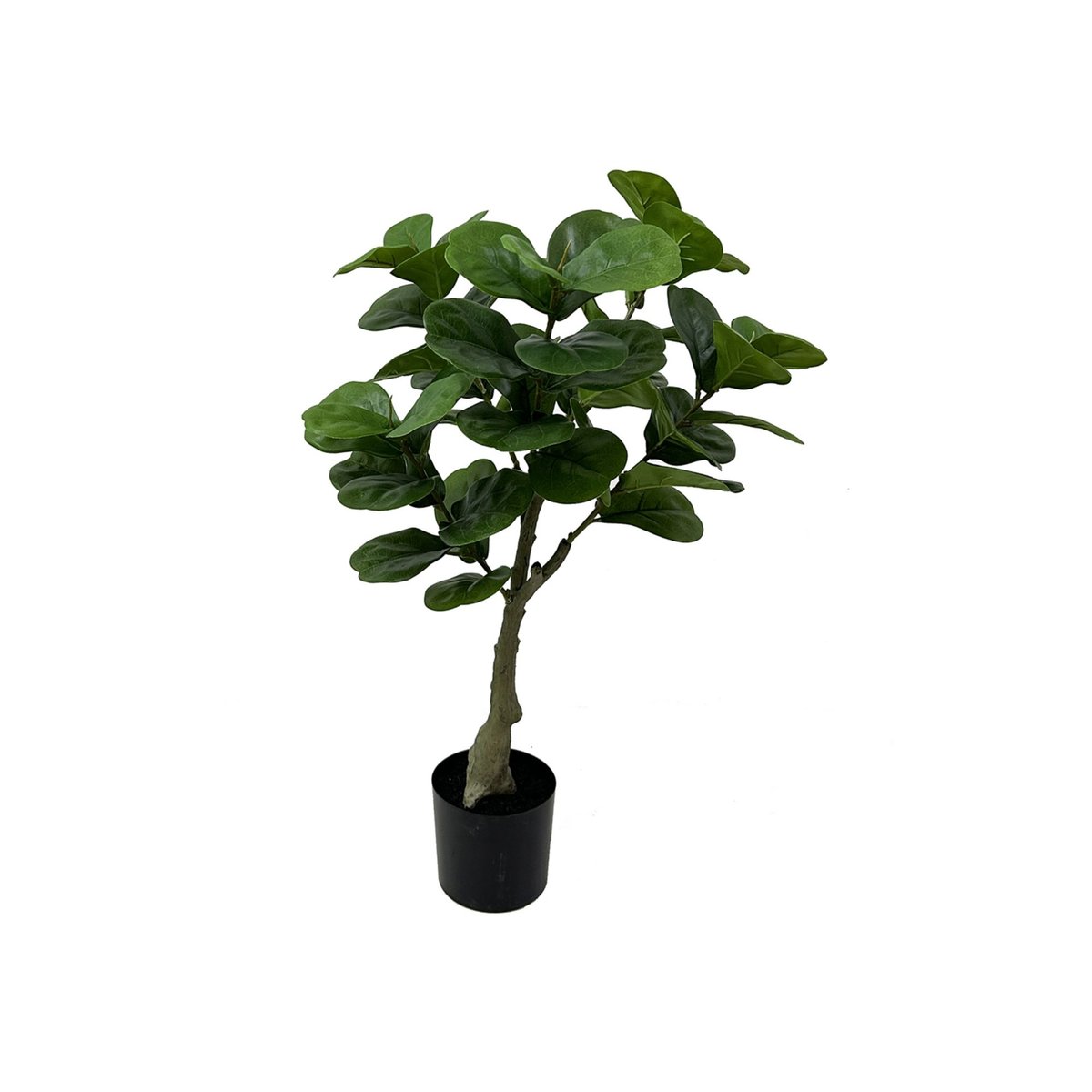 Plante Artificielle Plastique FICUS vert, PRESENT TIME