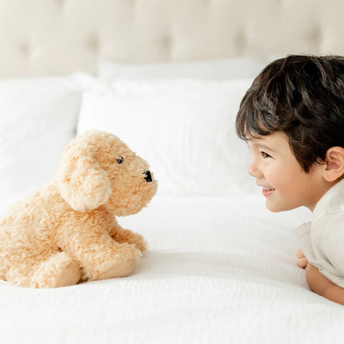Peluche Bouillotte Chien bouclé beige, WARMIES