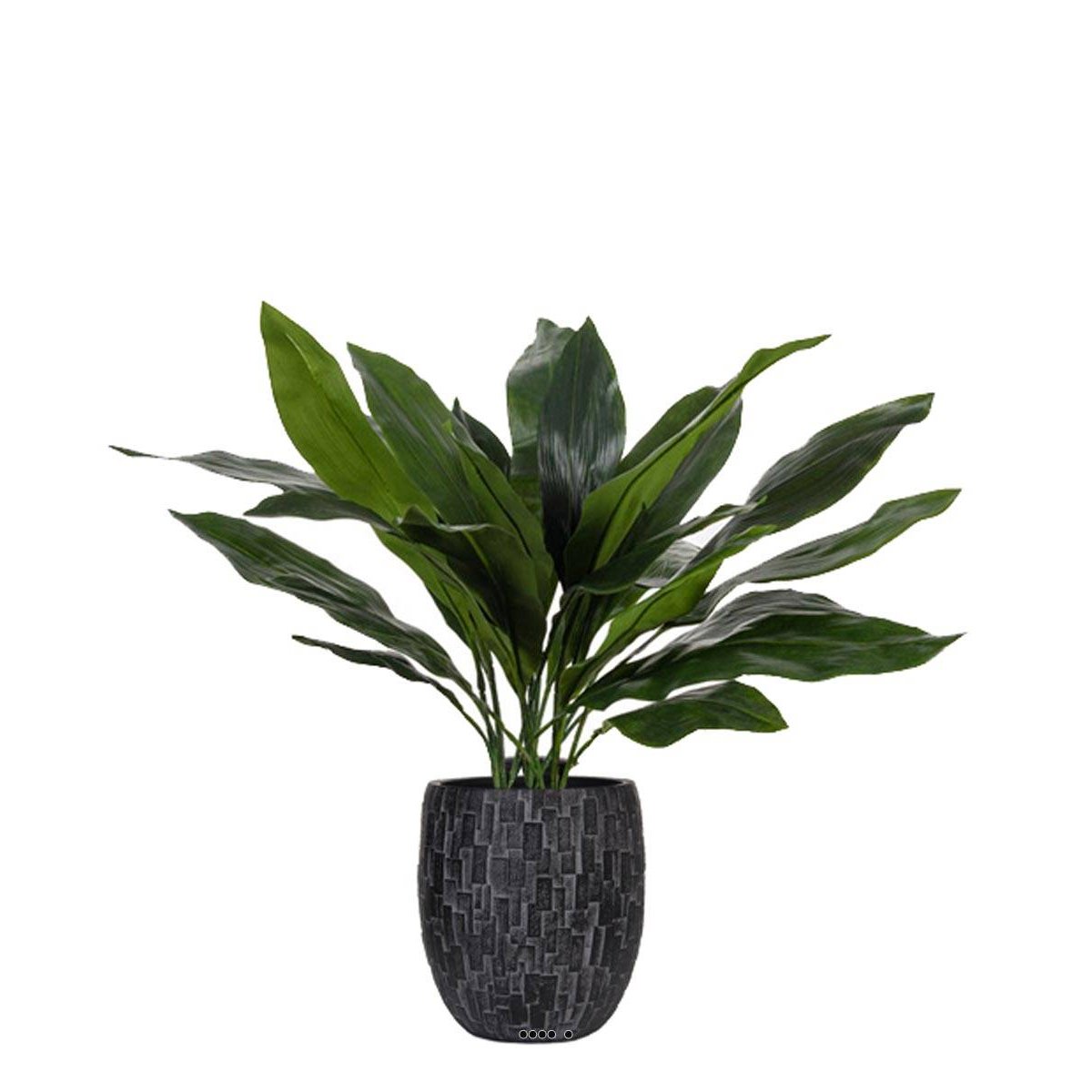 Aspidistra artificiel en pot, feuillage dens vert, ARTIFICIELLES
